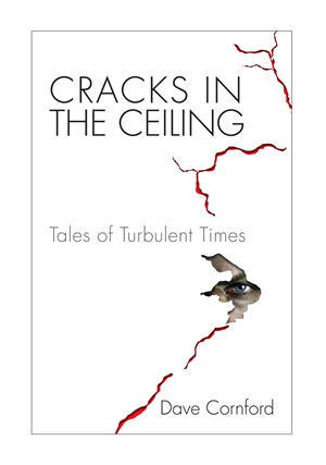 Book Cover Design by Halfull Media for this project | Design: #388033