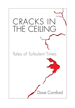 Book Cover Design by Halfull Media for this project | Design: #388034