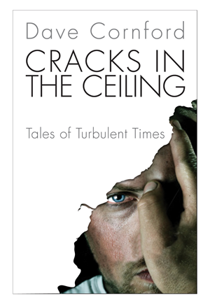 Book Cover Design by Halfull Media