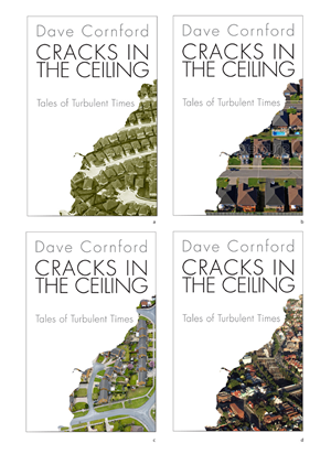 Book Cover Design by Halfull Media for this project | Design: #393385