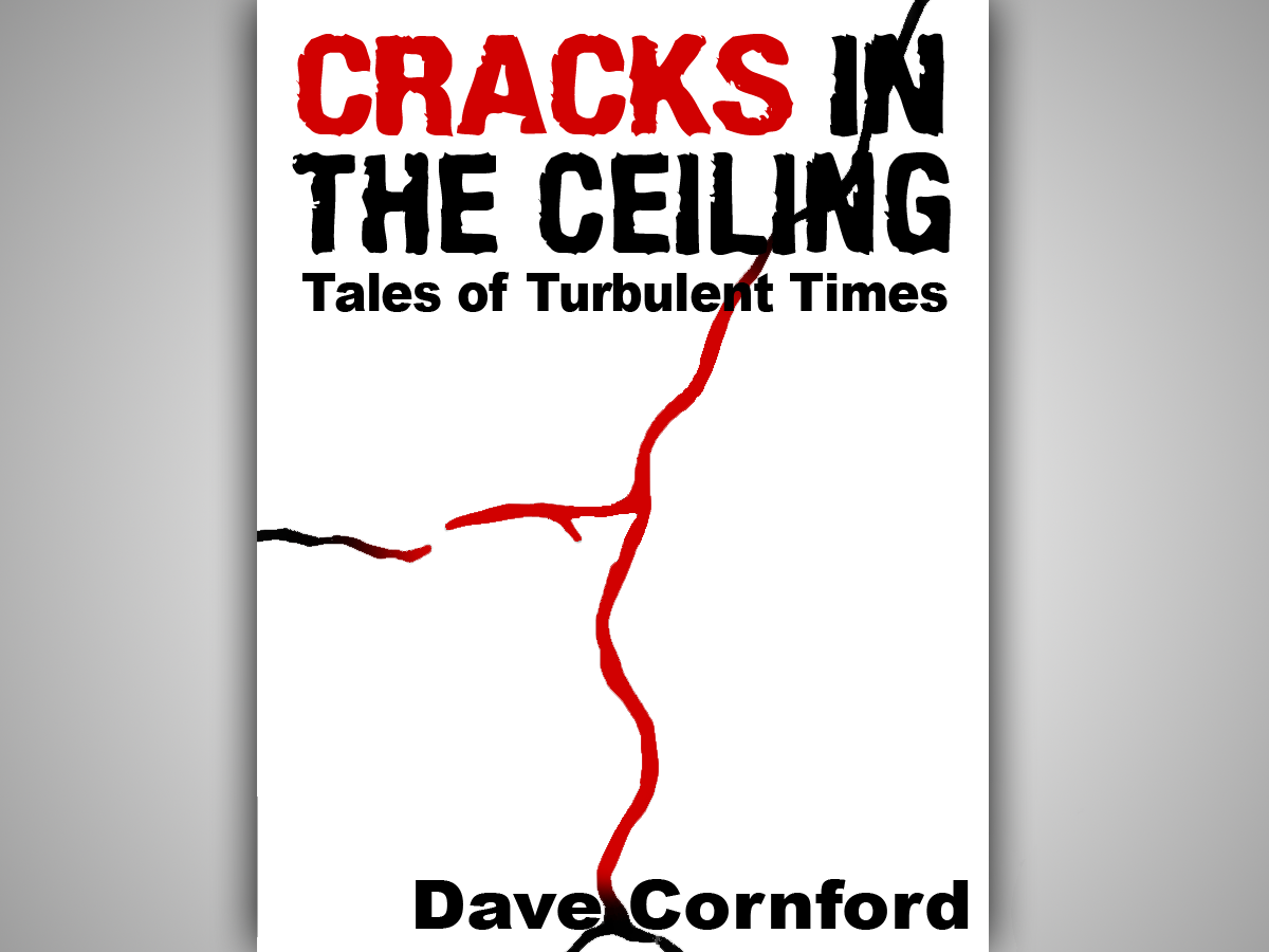 Book Cover Design by Max Becker for this project | Design #387632
