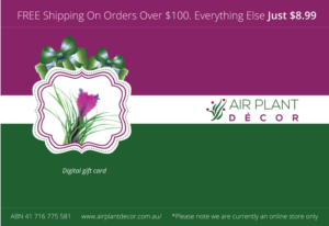 Card Design by roopaljain