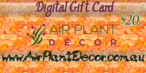 Card Design by iamwolf13666 for this project | Design: #7609563