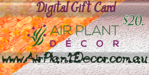 Card Design by iamwolf13666 for this project | Design: #7609564