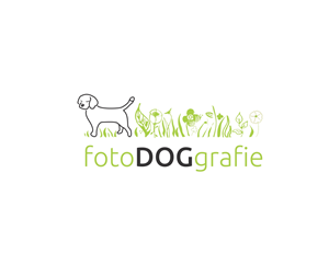 Logo-Design von Mandarina für dieses Projekt | Design: #1892989