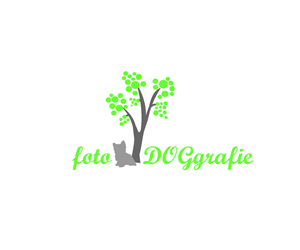 Logo Design by HLDesign