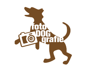 Logo Design by idgrafica