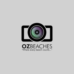 Logo Design by PivotalBlack for this project | Design: #7724949