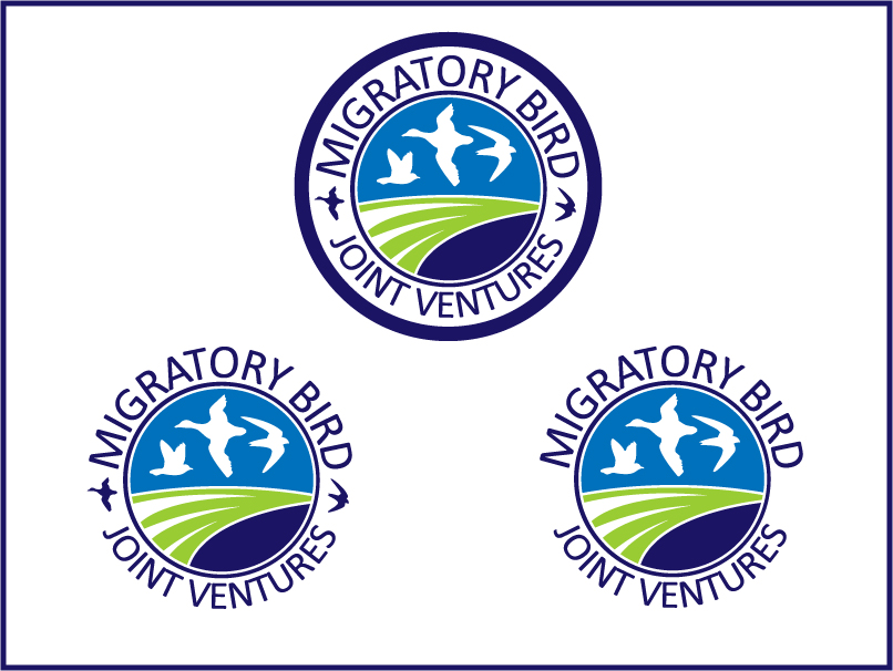 Logo Design by Stellar Designs for Sonoran Joint Venture | Design #1890275