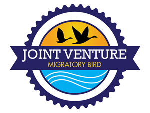 Logo Design by kmgraphics