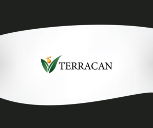 Logo Design by Artalian