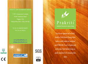Brochure Design by KMBHS Designs