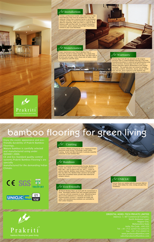 Brochure Design by Ruben Arce