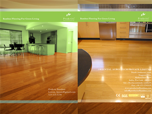 Brochure Design by Fiddy187