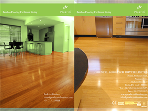 Brochure Design by Fiddy187 for this project | Design: #383647