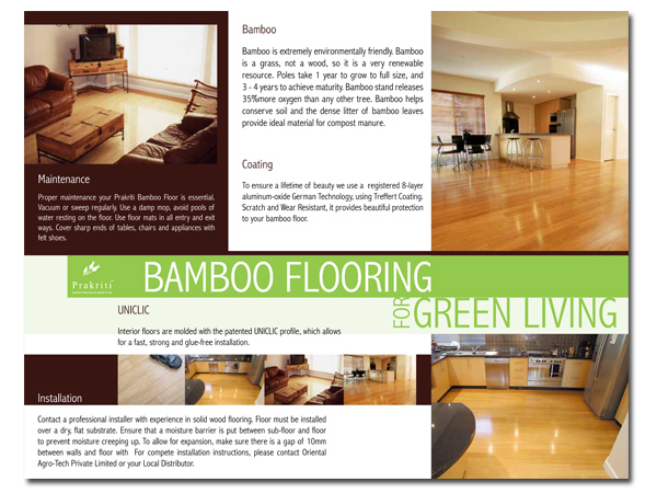 Brochure Design by creativelobster for this project | Design #388879