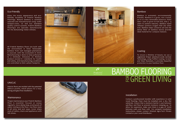 Brochure Design by creativelobster for this project | Design #391972