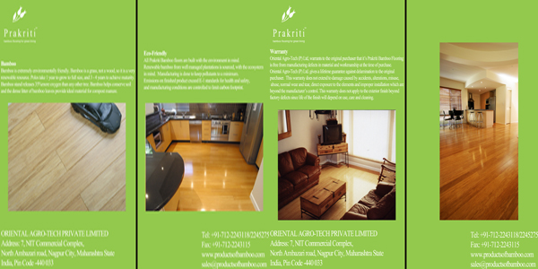 Brochure Design by sheila's for this project | Design #392718