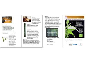Brochure Design by luv2design for this project | Design: #392682