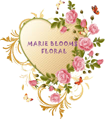 Logo Design by hakanbulkurcu
