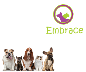 Logo-Design von Krypton Designer für dieses Projekt | Design: #7597982