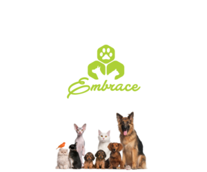 Logo Design by Krypton Designer for this project | Design: #7600567