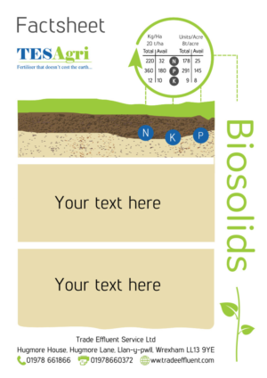 Flyer Design by Sashas