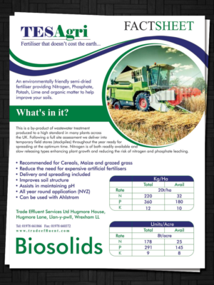 Flyer Design by ESolz Technologies