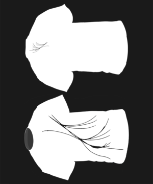 T-shirt Design by stefanhuwiler for this project | Design: #7594089