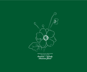 T-shirt Design by rum for Perennial Plant Association | Design: #7659645
