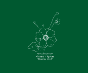 T-shirt Design by rum for Perennial Plant Association | Design: #7729070