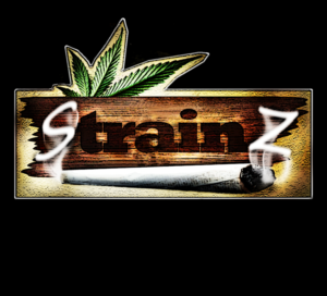 Logo Design by Sam Black for this project | Design: #7730127