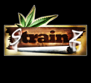 Logo Design by Sam Black for this project | Design: #7730128