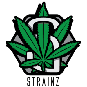 Logo Design by Graeme Jr