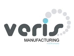 Logo Design by NetSpidy