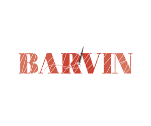 Logo Design by Intro Base for Barvin | Design: #1976219