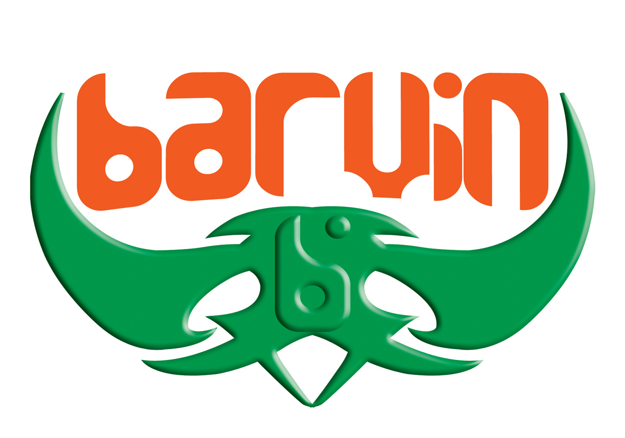 Logo-Design von Nadella für Barvin | Design #1927835