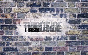 Logo Design by Wigmin for Thirdside  | Design: #1893871