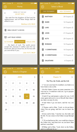 Diseño de aplicación (App) por iLexter para CouncilSoft Inc. | Diseño: #7676847