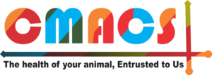 Logo Design by Ikik