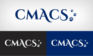 Logo Design by Steponwebstudio
