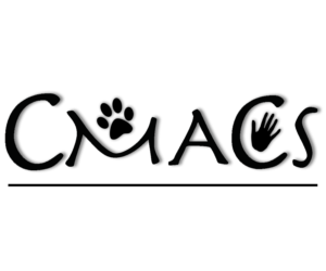 Logo Design by eceyuceer