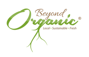 Logo Design by Vibrix Media for this project | Design: #9194734