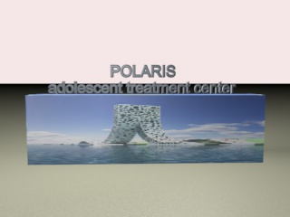 Logo Design by dinica MARCEL LUCIAN for Polaris | Design #2190112