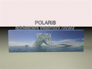 Logo Design by dinica MARCEL LUCIAN for Polaris | Design: #2190112
