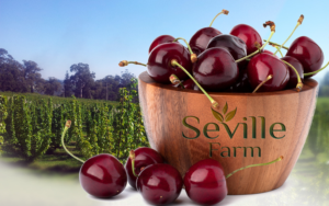 Facebook-Design von Designing Fever für McIntyre Property Holdings Pty Ltd | Design #7696450