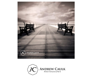 Logo Design by Atemolesky