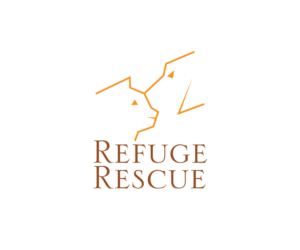 Logo Design by GMWIRE