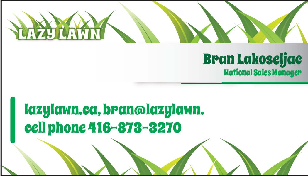 Diseño de Brochure por Ali Designer para este proyecto | Diseño #2125099