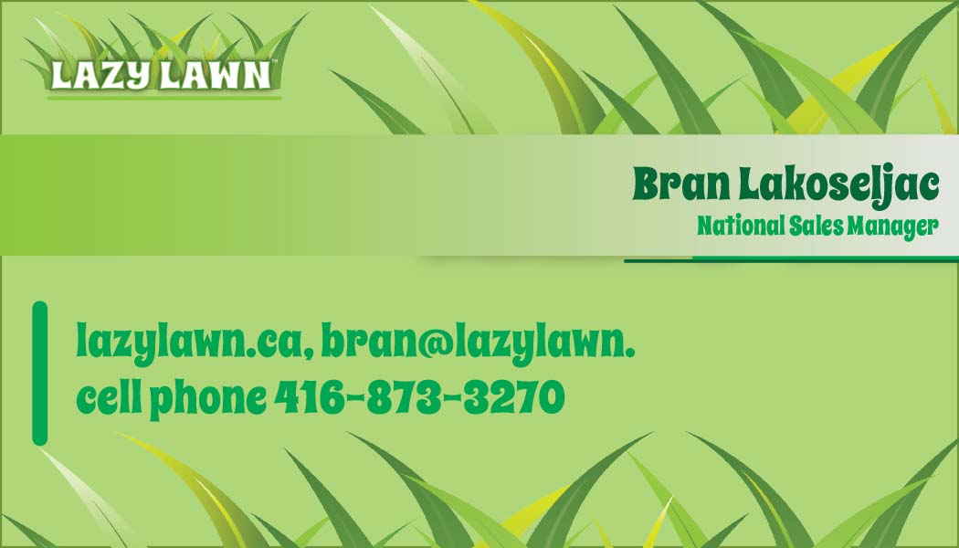 Diseño de Brochure por Ali Designer para este proyecto | Diseño #2125105